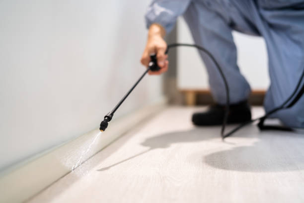 Bed Bug Pre-Treatment Preparation Assessment in Green Oaks