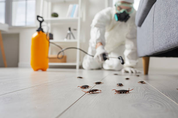 Post-Treatment Bed Bug Interceptor Monitoring in Green Oaks