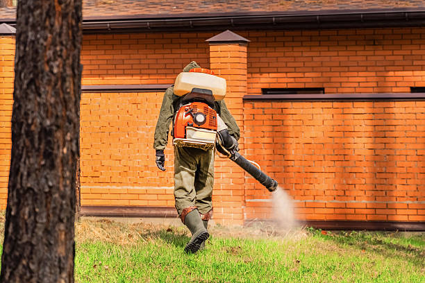 Bed Bug Clearance Verification and Documentation in Green Oaks